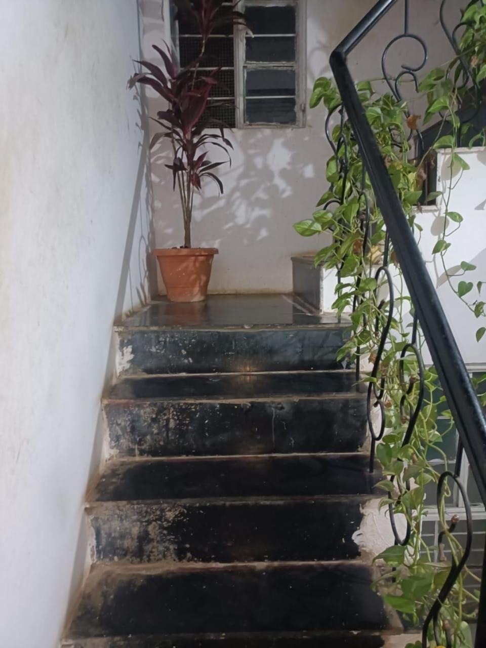 אודייפור Bagol Palace מראה חיצוני תמונה
