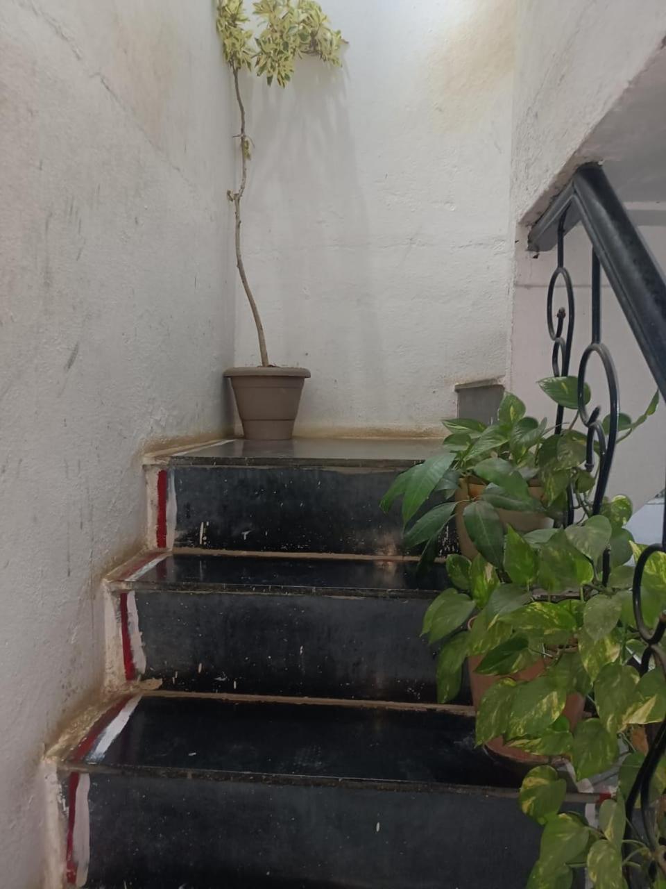 אודייפור Bagol Palace מראה חיצוני תמונה