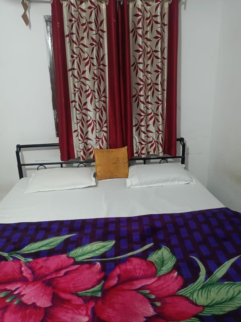 אודייפור Bagol Palace מראה חיצוני תמונה