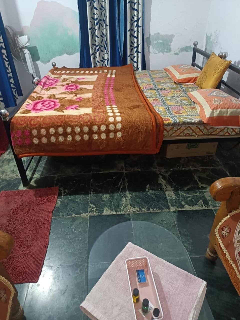 אודייפור Bagol Palace מראה חיצוני תמונה